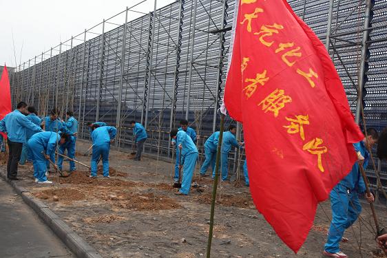 青年自愿者们正在植树